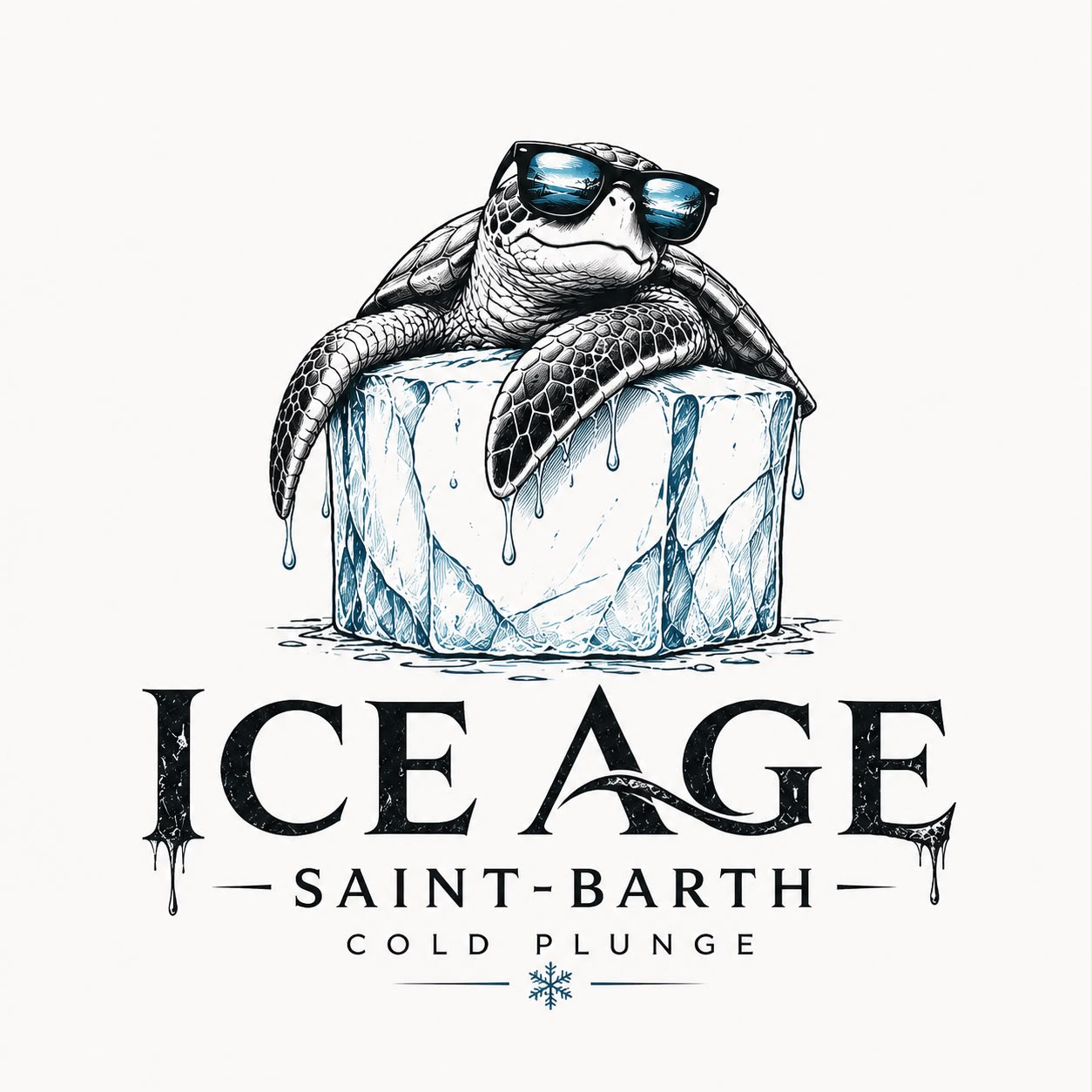 ICE AGE Saint-Barth